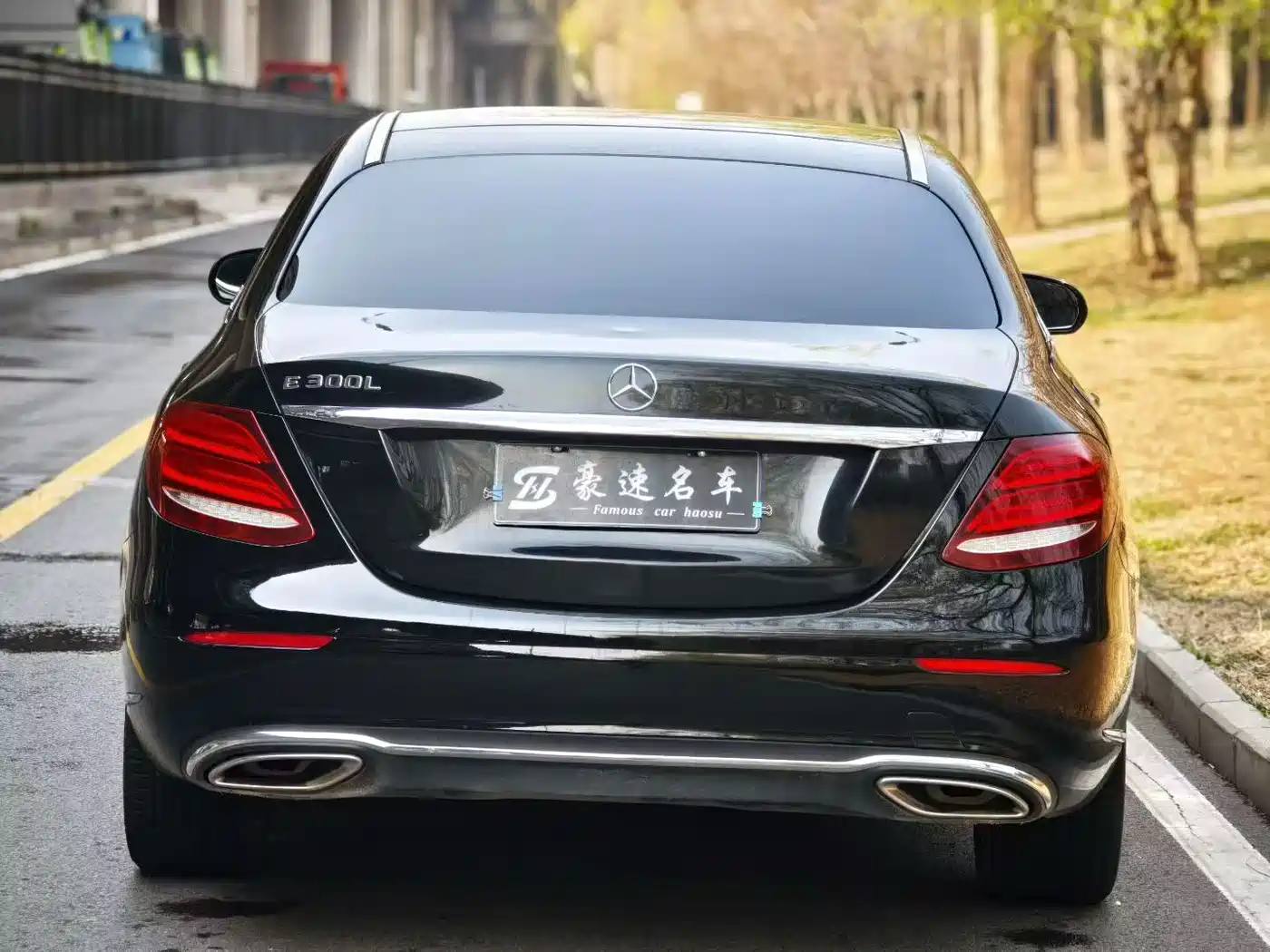 Mercedes-Benz E-Class 2019 E 200 L фото 4
