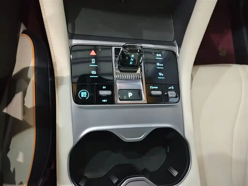 BYD Song PLUS PHEV 2023 Champion Edition DM-i 110KM Flagship фото 14