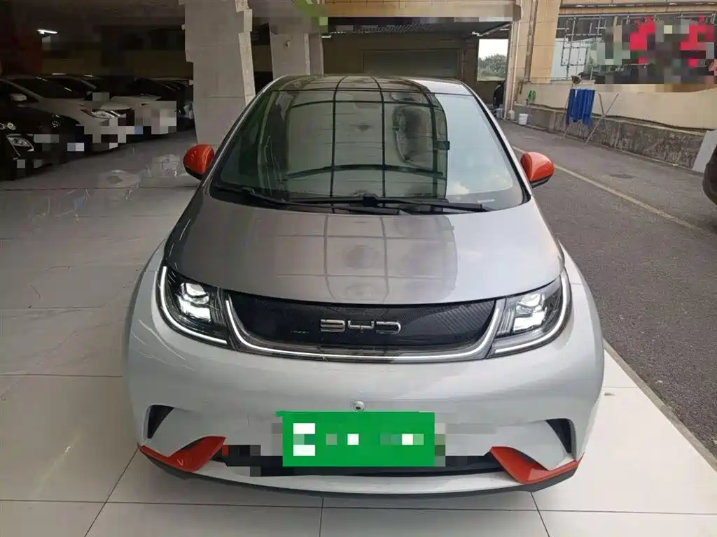 BYD Dolphin 2023 420km Fashion Edition фото 2