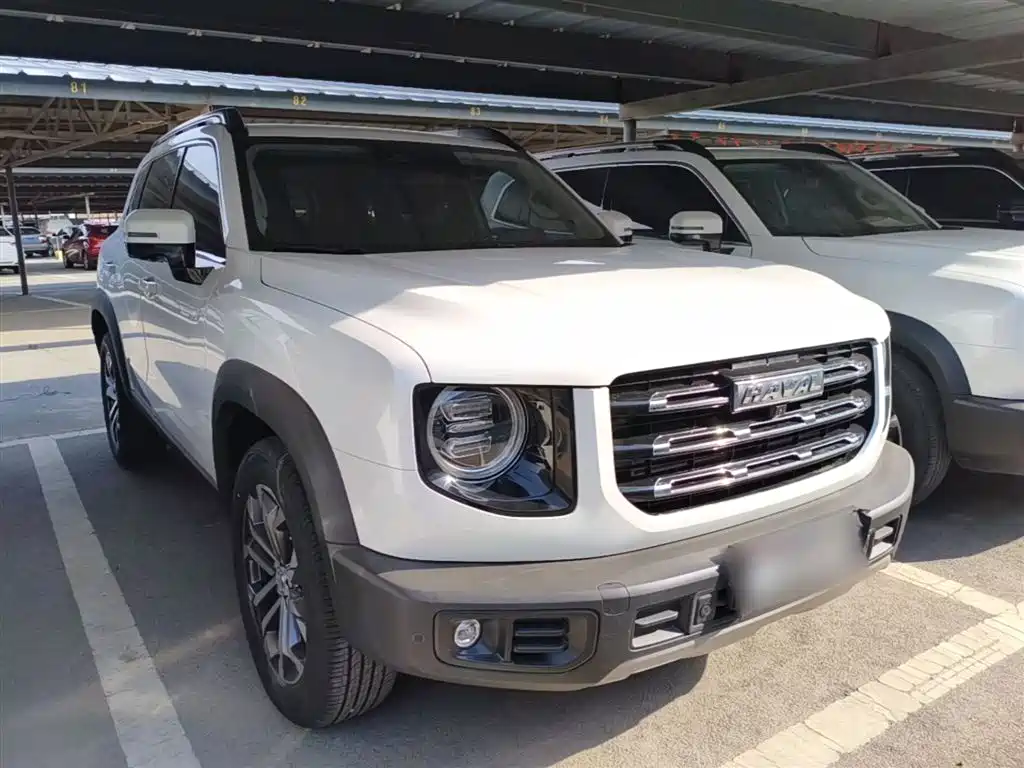 Haval Big Dog 2021 1.5T DCT 2WD Border Collie Edition фото 4