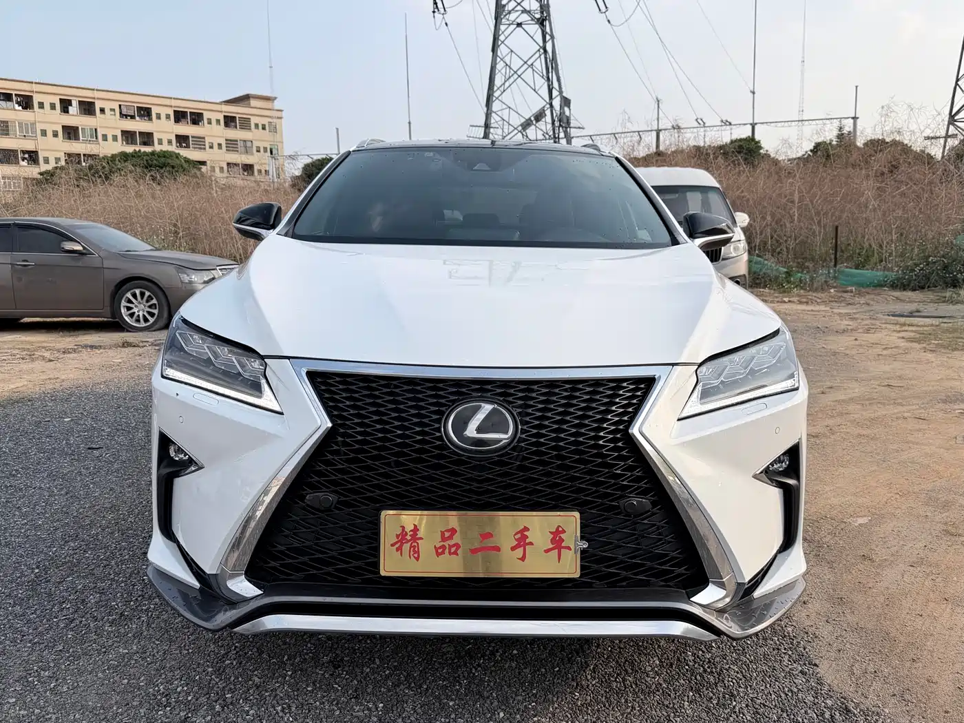 LEXUS RX