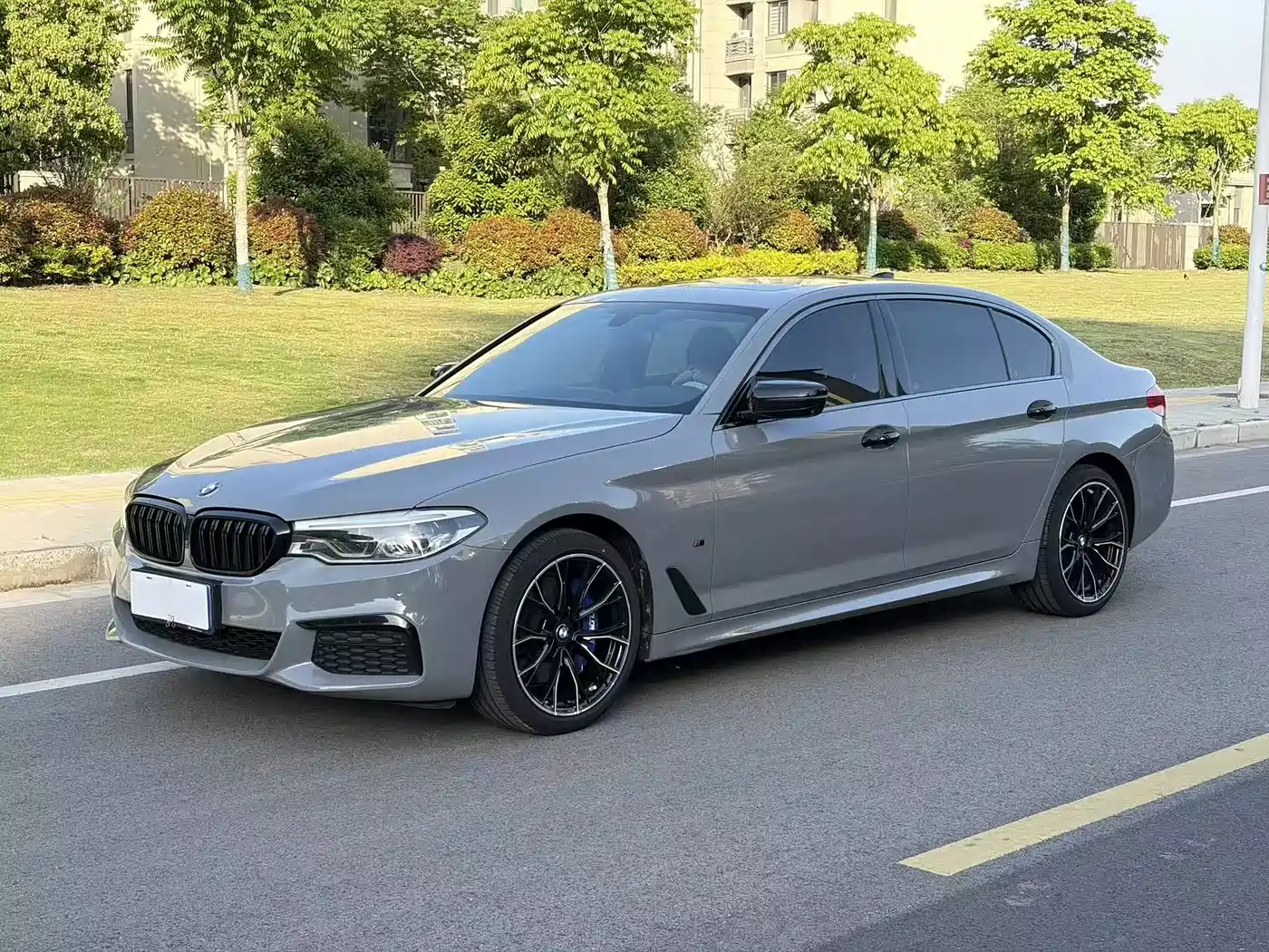 BMW 5 Series 2020 530Li Exclusive M Sport Package