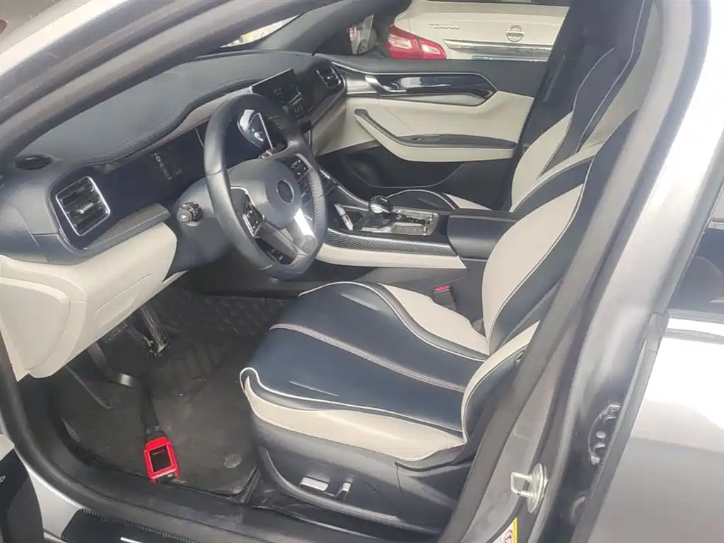 BYD Qin PLUS 2021 DM-i 55KM Flagship фото 15