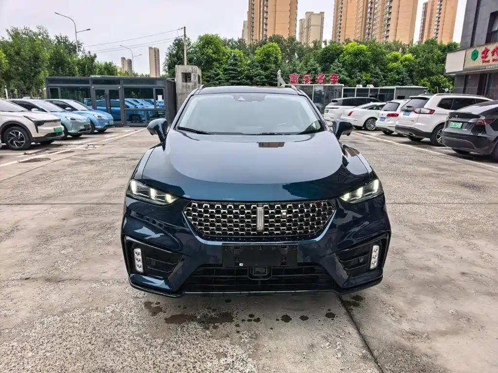 WEY VV7 2020 2020 Model 2.0T Flagship