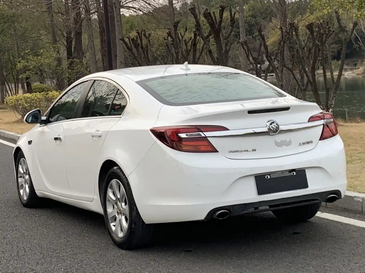 Buick Regal 2014 1.6T Fashion Technology Type фото 5