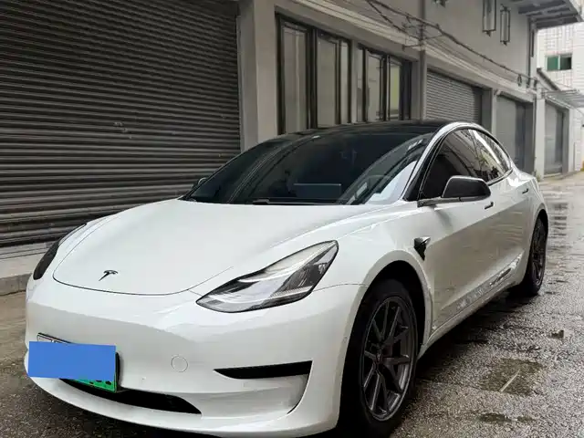 Tesla Model 3 2020 Standard Range Rear-Wheel Drive Upgrade