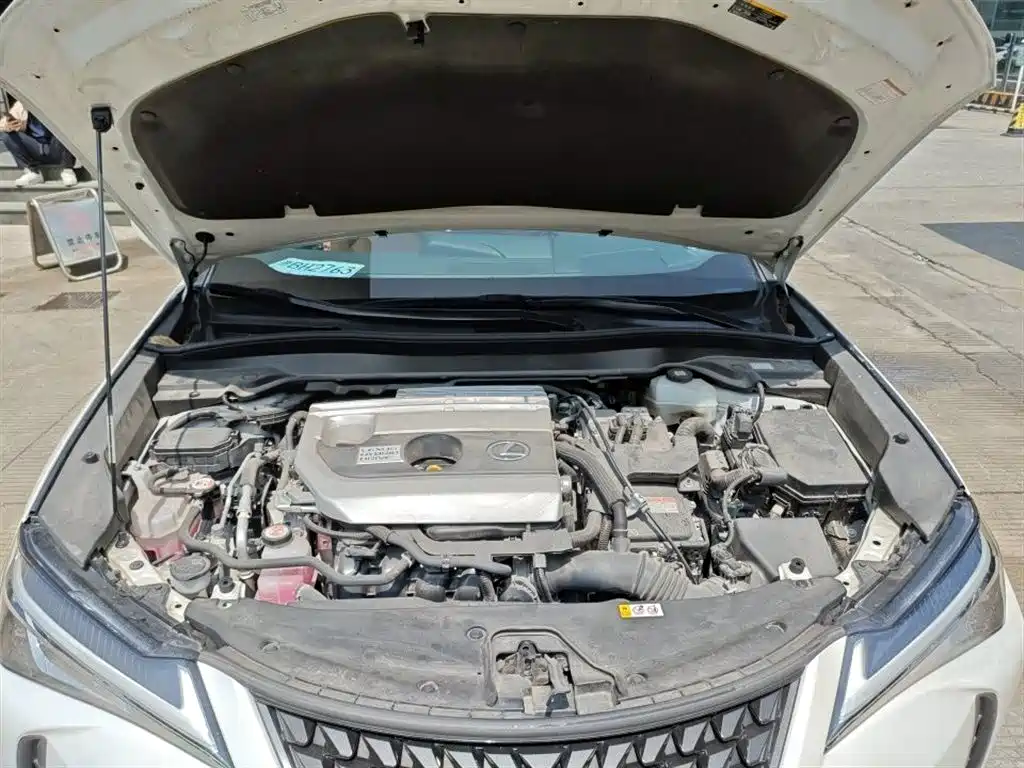 Lexus UX 2020 260h Explore Cool Edition China V фото 3
