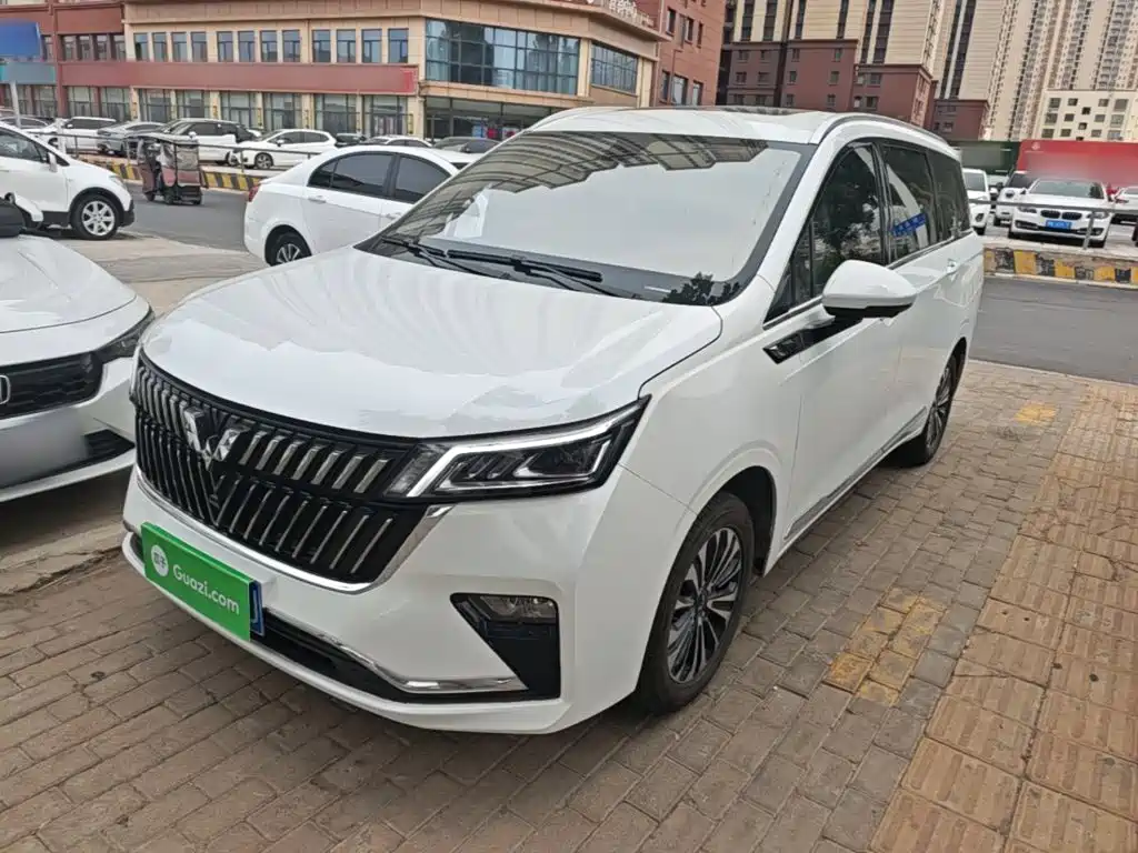 Wuling Motors Wuling Jiachen 2022 1.5T CVT Exclusive Flagship Model