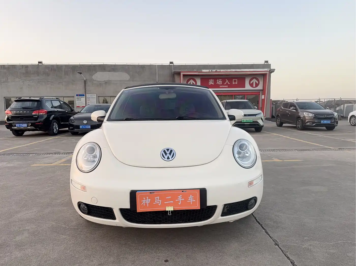 Volkswagen Beetle 2009 2.0 AT Top Convertible фото 2