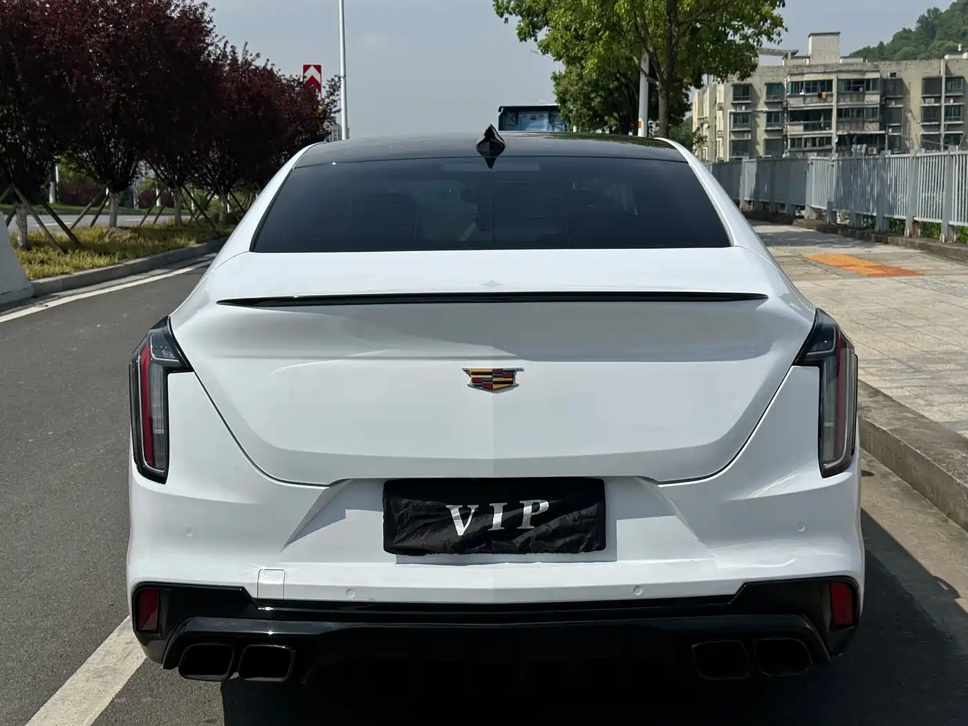 Cadillac CT4 2020 28T Elite фото 5