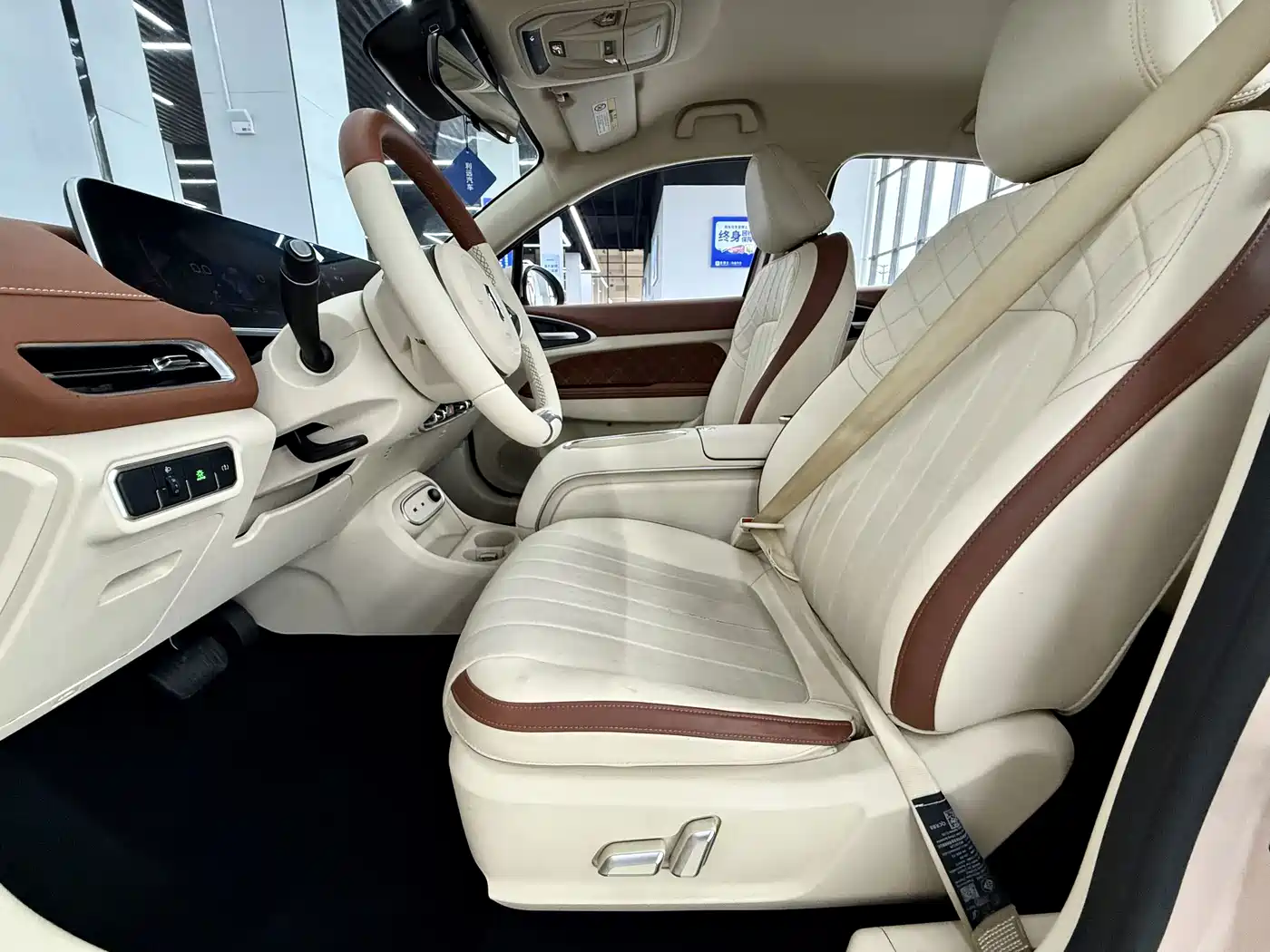 Ora Good Cat 2024 2024 401km Comfort