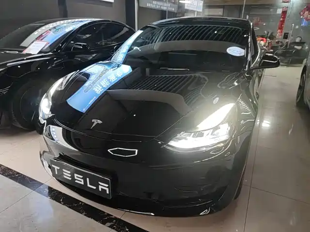 Tesla Model 3 Задний привод