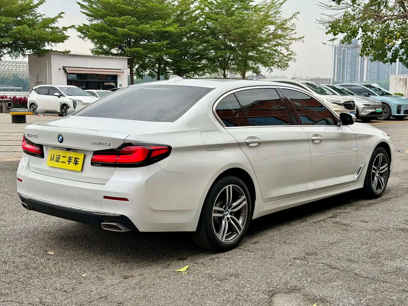 BMW 5 Series 2021 530Li Leading Luxury Package фото 5