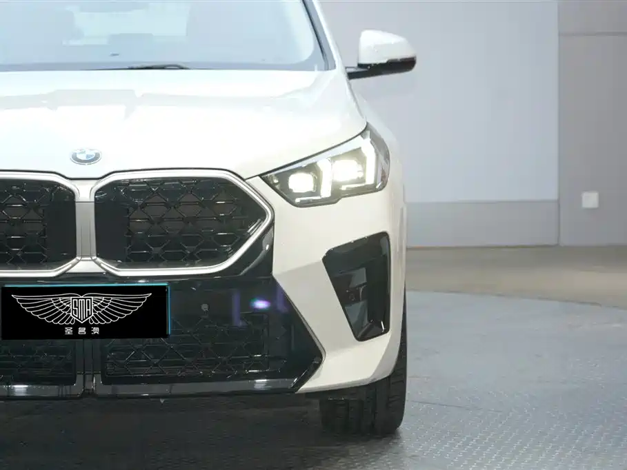 BMW X2 (Import) 2024 sDrive25i M Sport Package фото 5