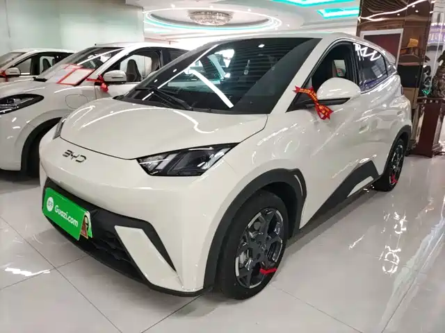 BYD Seagull Слава, 305km, Свобода