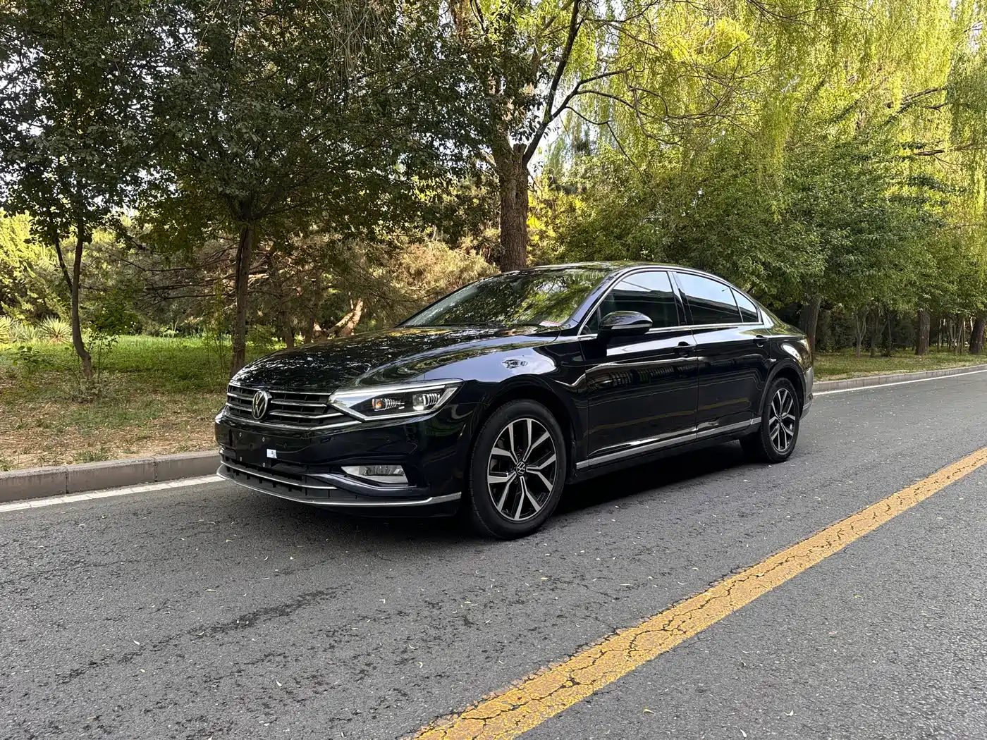 Volkswagen Magotan 2020 330TSI DSG Leading