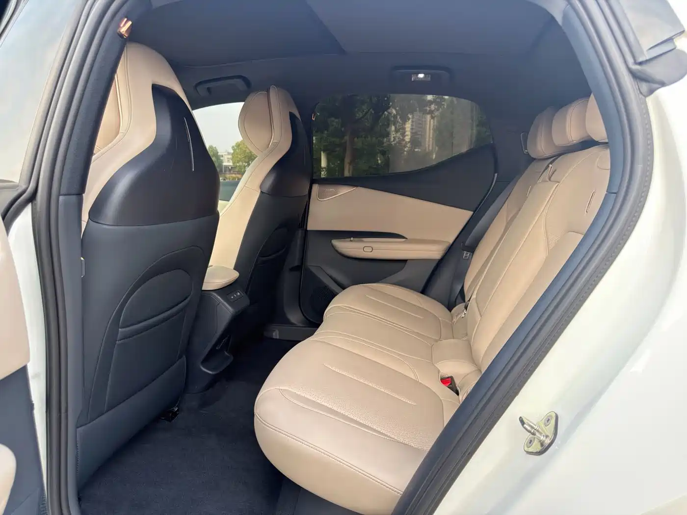 Lynk & Co Z20 2025 2025 530km RWD Max