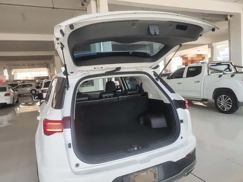 Changan CS55 PLUS 2019 2020 1.5T Automatic Color Edition