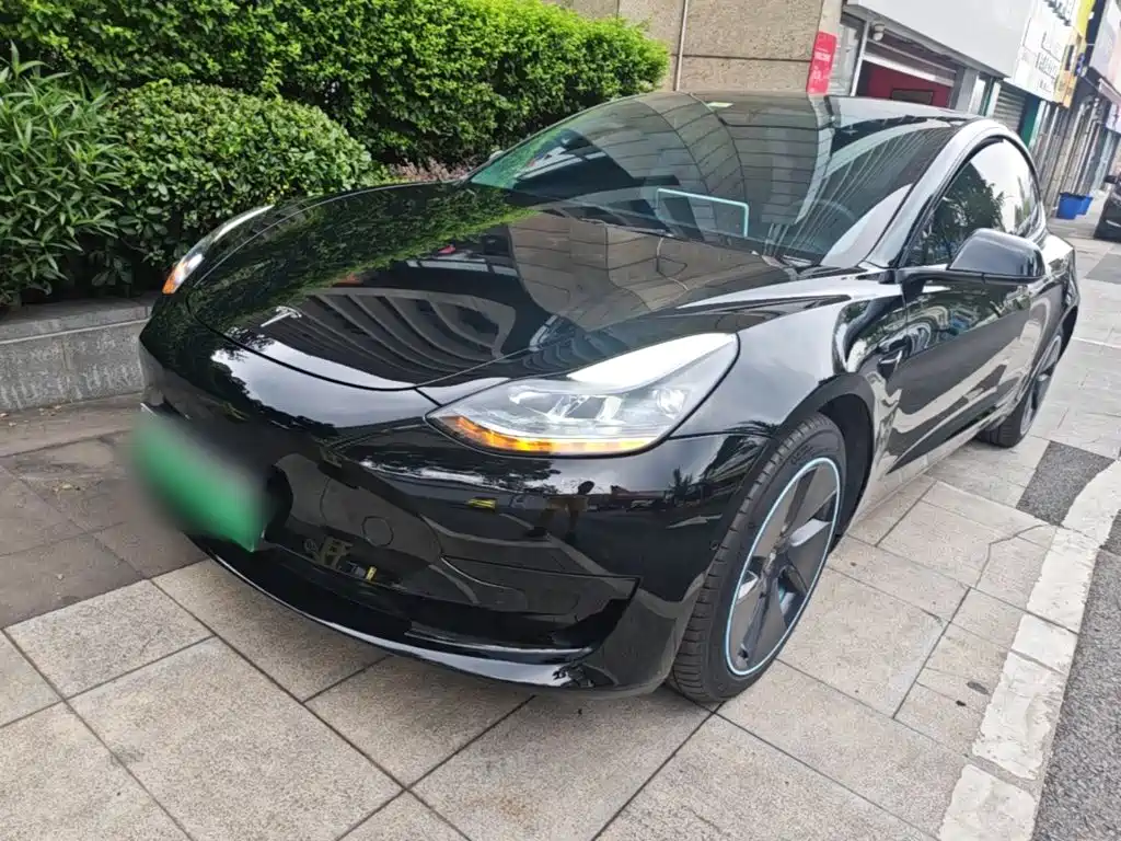 Tesla Model 3 2021