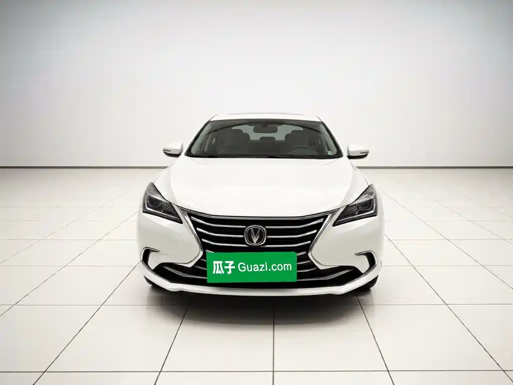 Фото 2 - Changan Eado