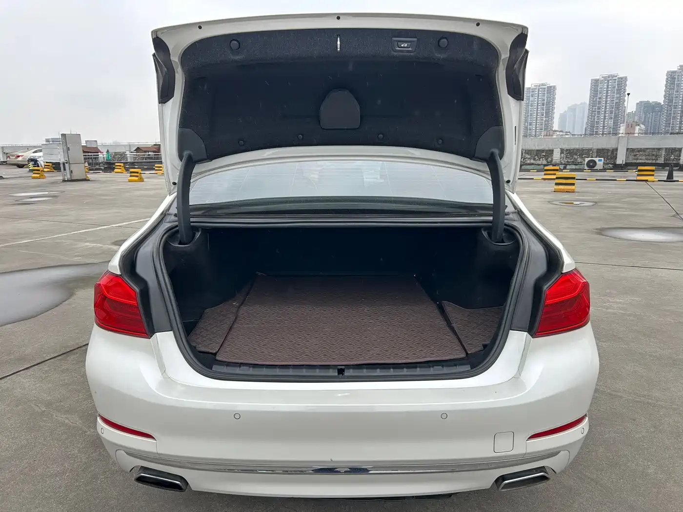 BMW 5 Series New Energy 2019 Facelift 530Le Pioneer Edition фото 13