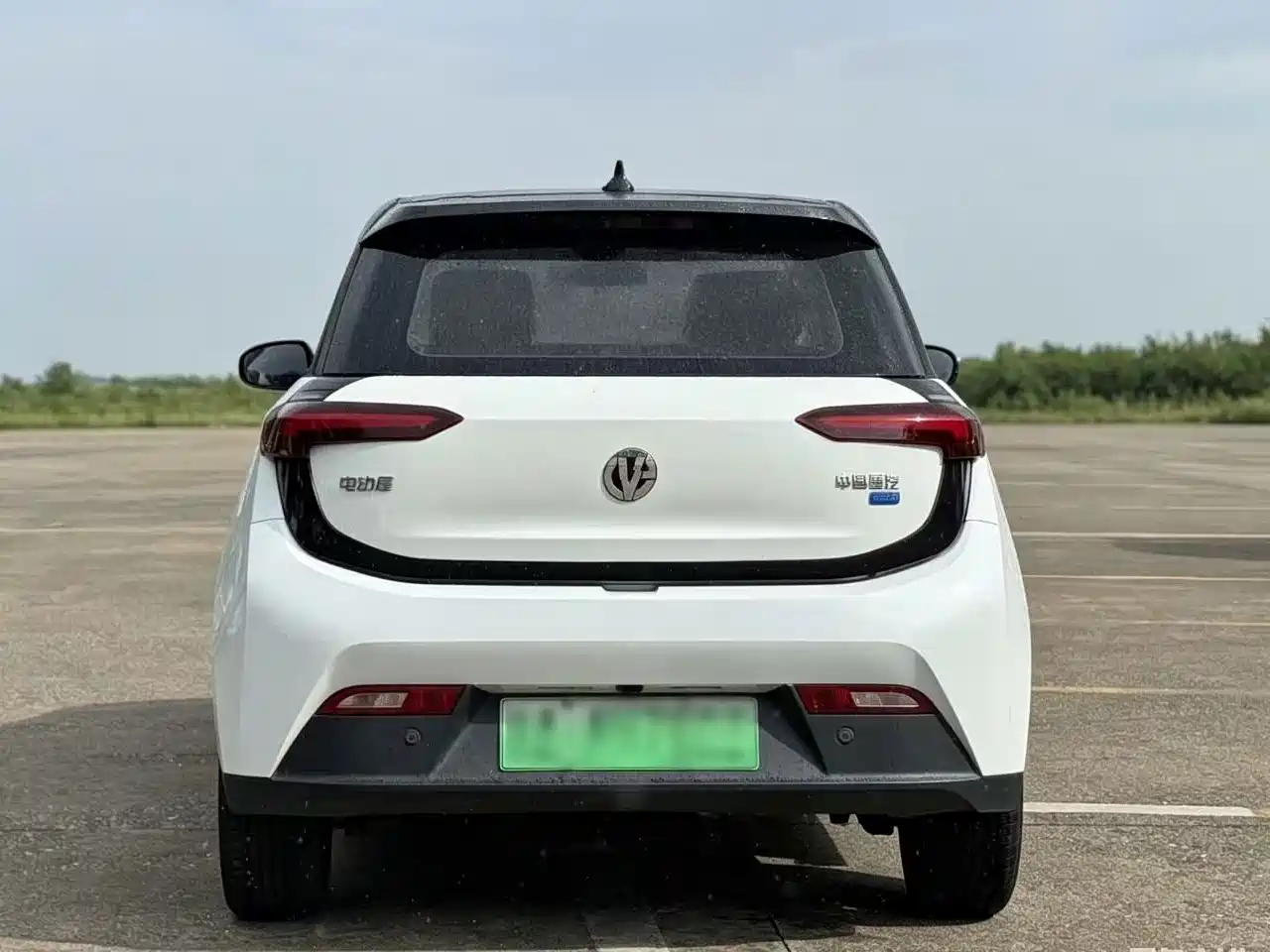 Electric House YOUNG Guang Xiaoxin 2022 2021 L400 4-Seater
