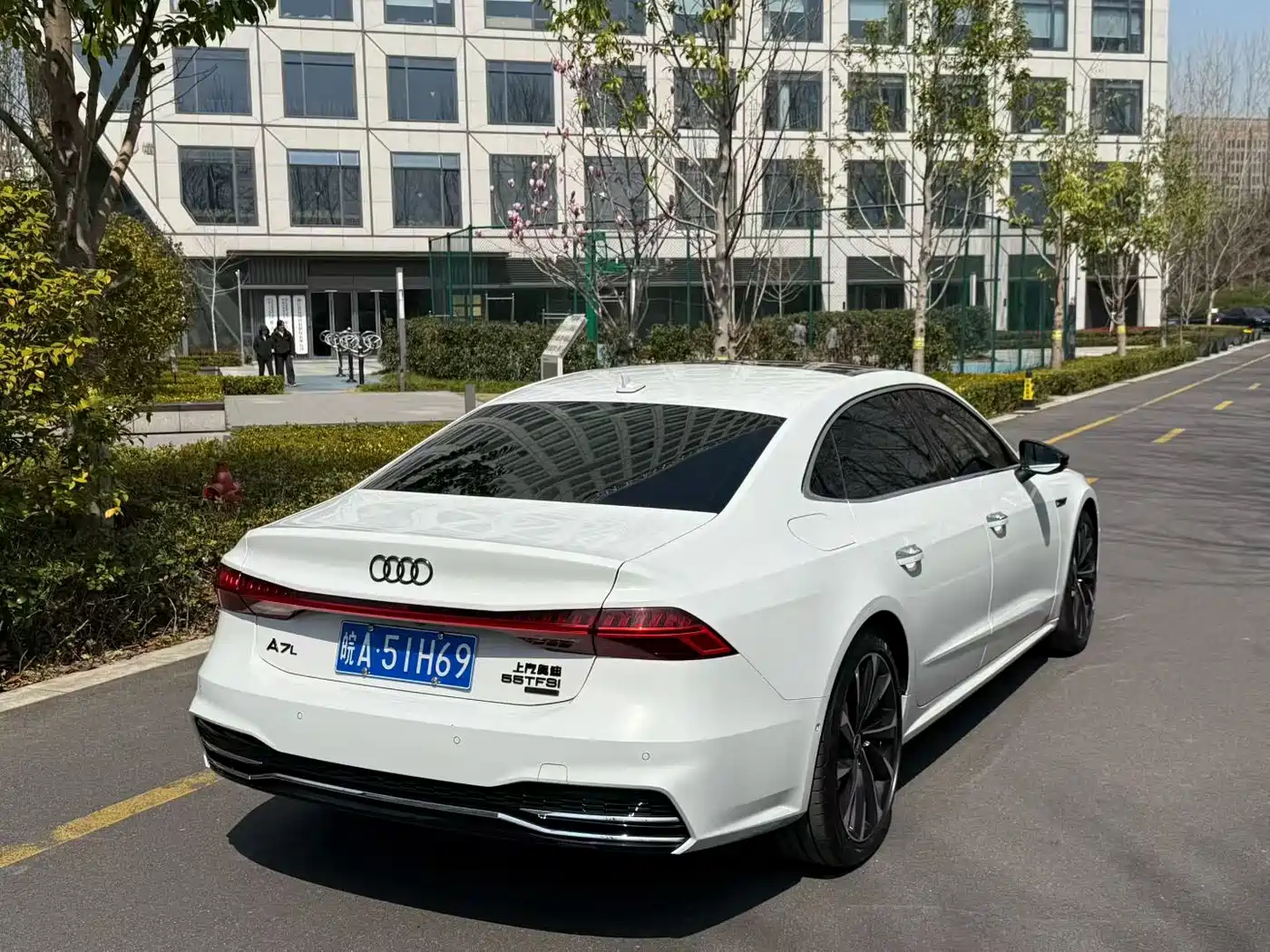 Audi A7L 2023 45 TFSI quattro S-line Shadow Warrior Edition фото 5