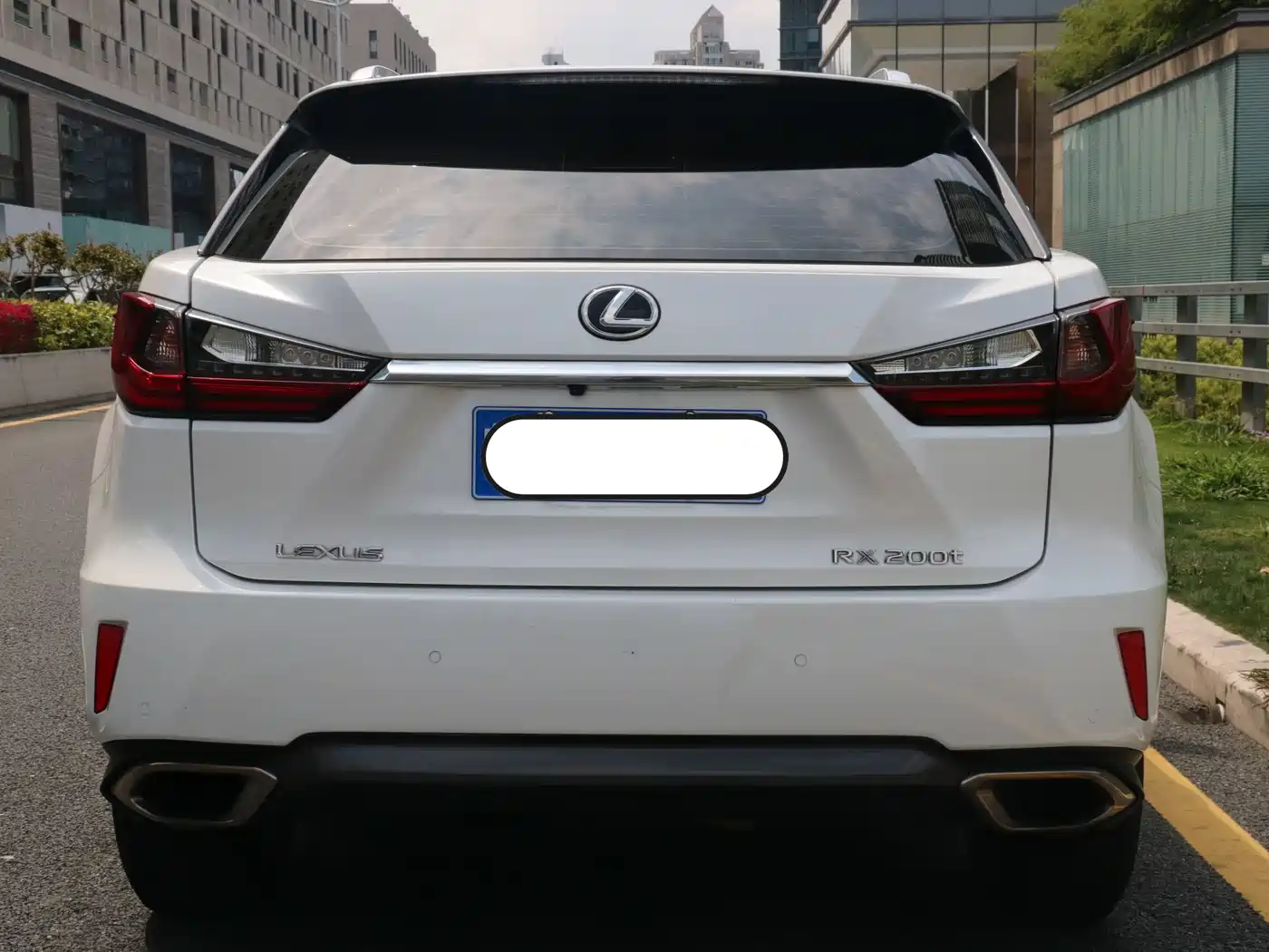 Lexus RX 2016 300 2WD Elite Edition (China V) фото 3
