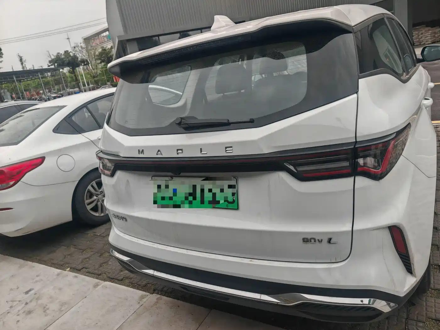 RUILAN AUTOMOBILE MAPLE LEAF 80V L