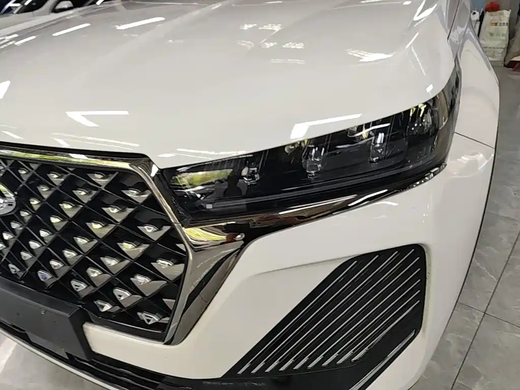 Chery Tiggo 7 2024 2024 1.5T CVT Premium Edition