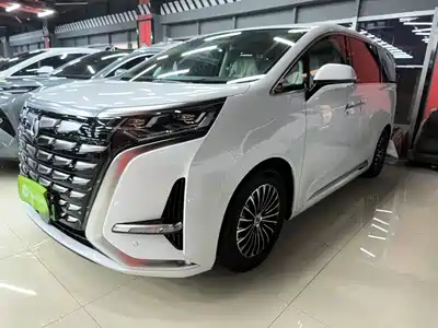 Denza D9