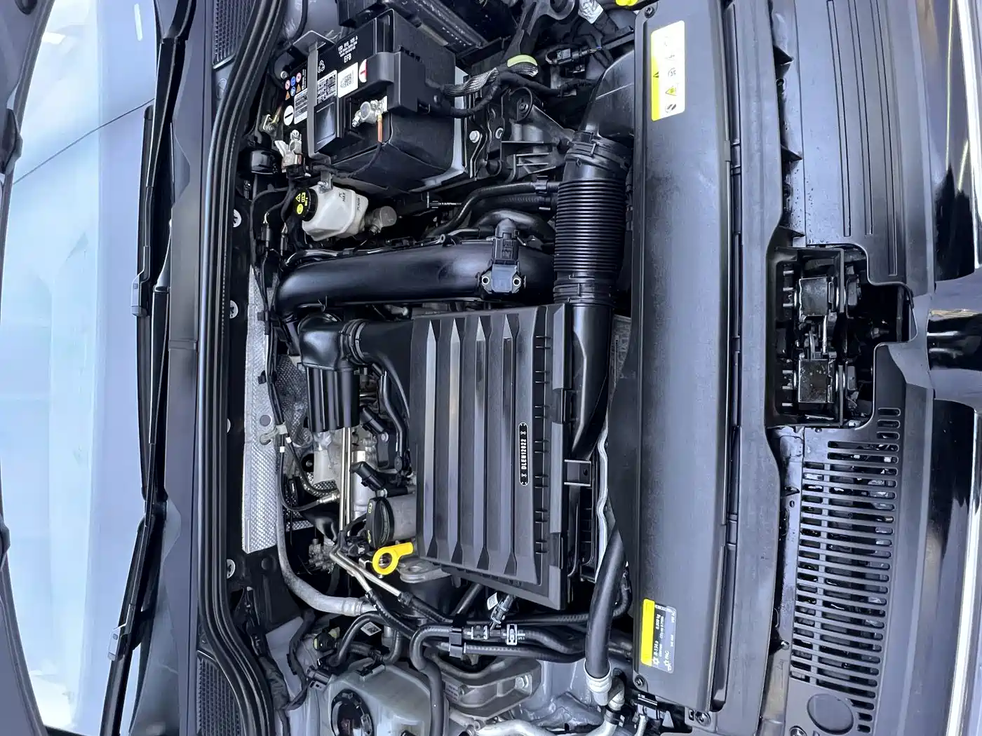 Volkswagen Golf 2024 2023 280TSI DSG Pro