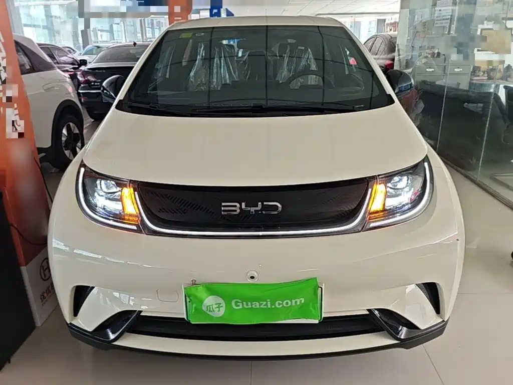 BYD Dolphin 2026 2025 420km Freedom Edition