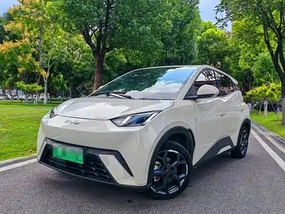 BYD Seagull