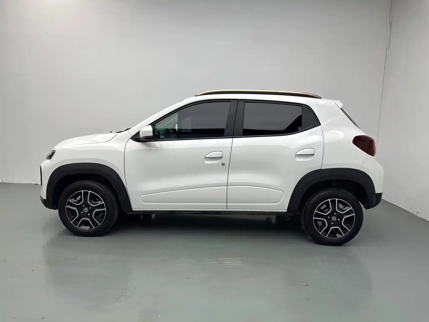 Dongfeng Yipai Nano BOX 2024 2022 Breeze Edition 201KM Lightning