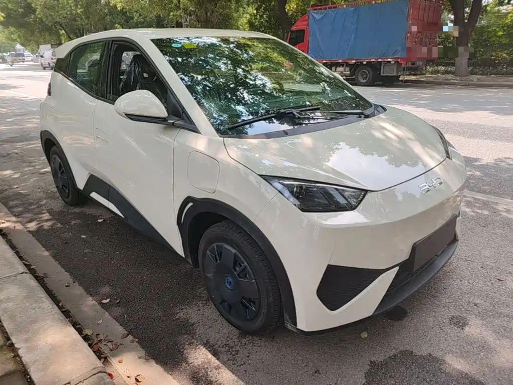 BYD Seagull 2026 2025 305km Vitality