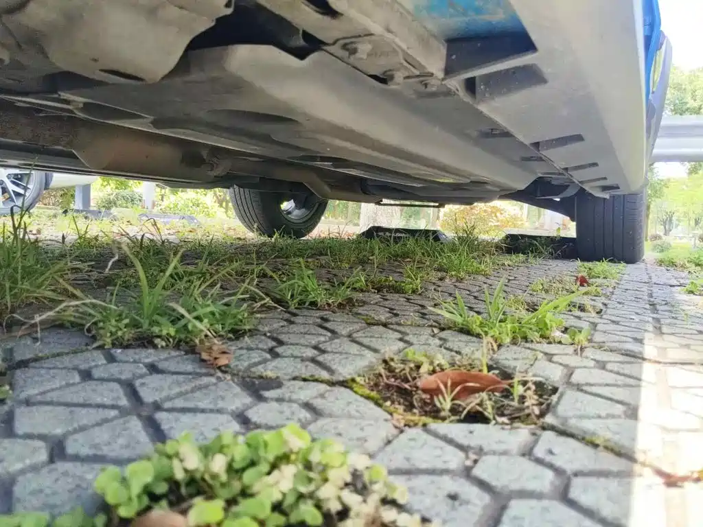 Haval Chitu 2022 2021 Boost Edition 1.5T Platinum Rabbit