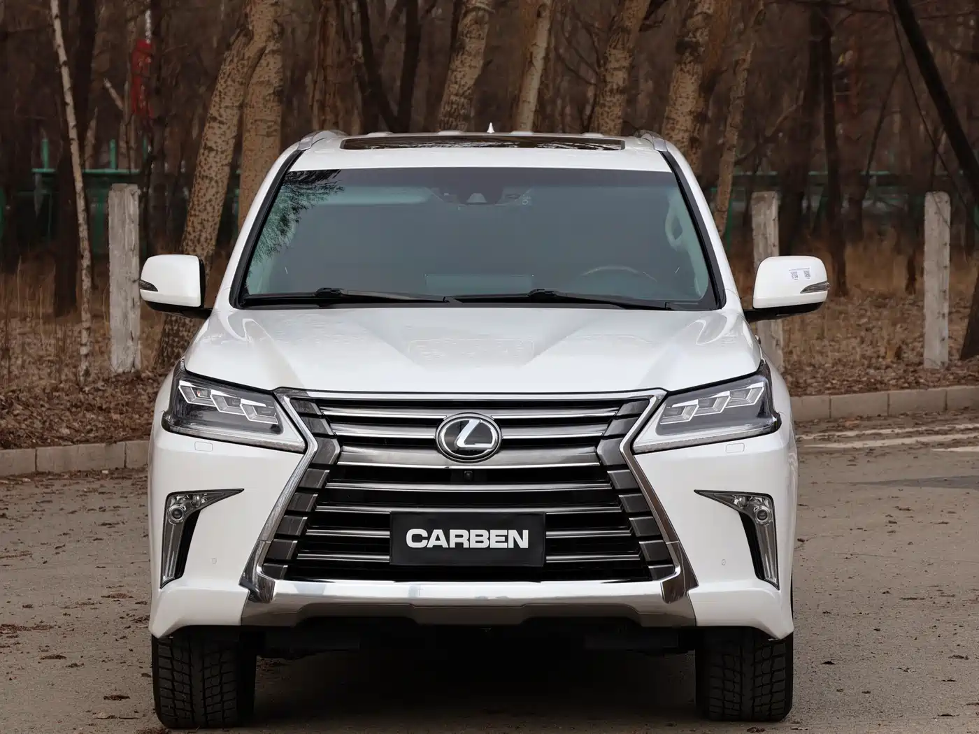 Lexus LX 2016 570 Luxury Premium Edition фото 2