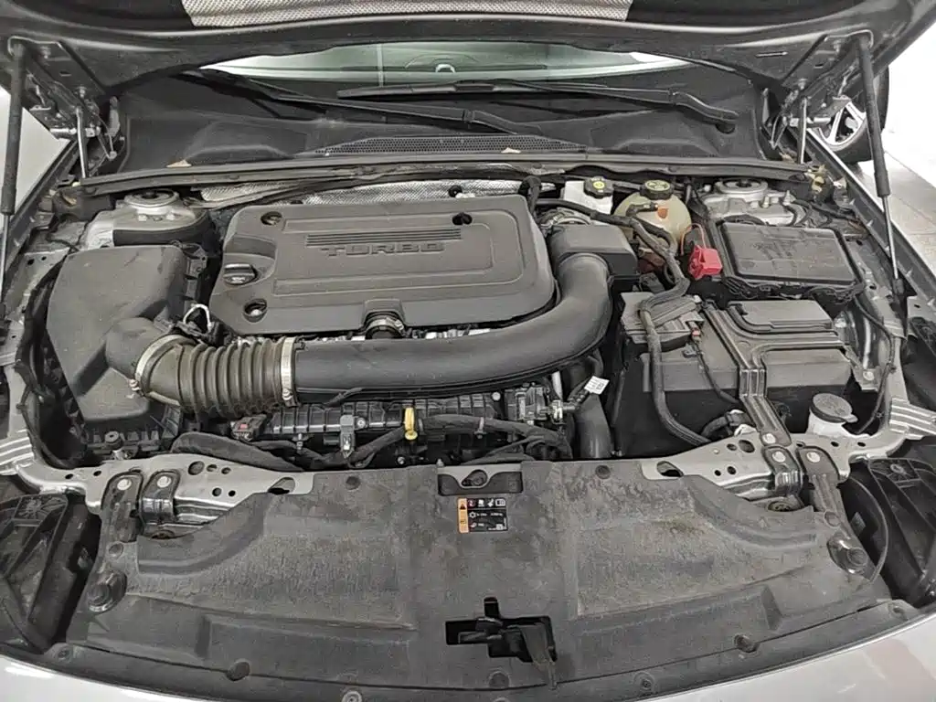 Фото 20 - Buick Regal