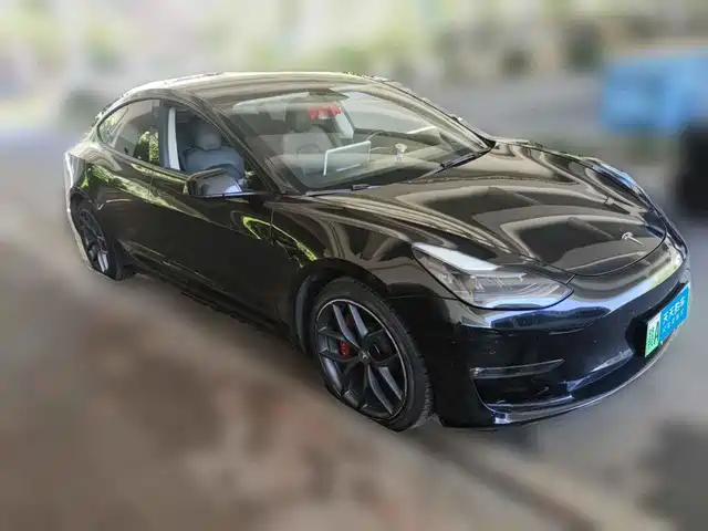 Tesla Model 3 2022 Performance High-Performance AWD — фото 3