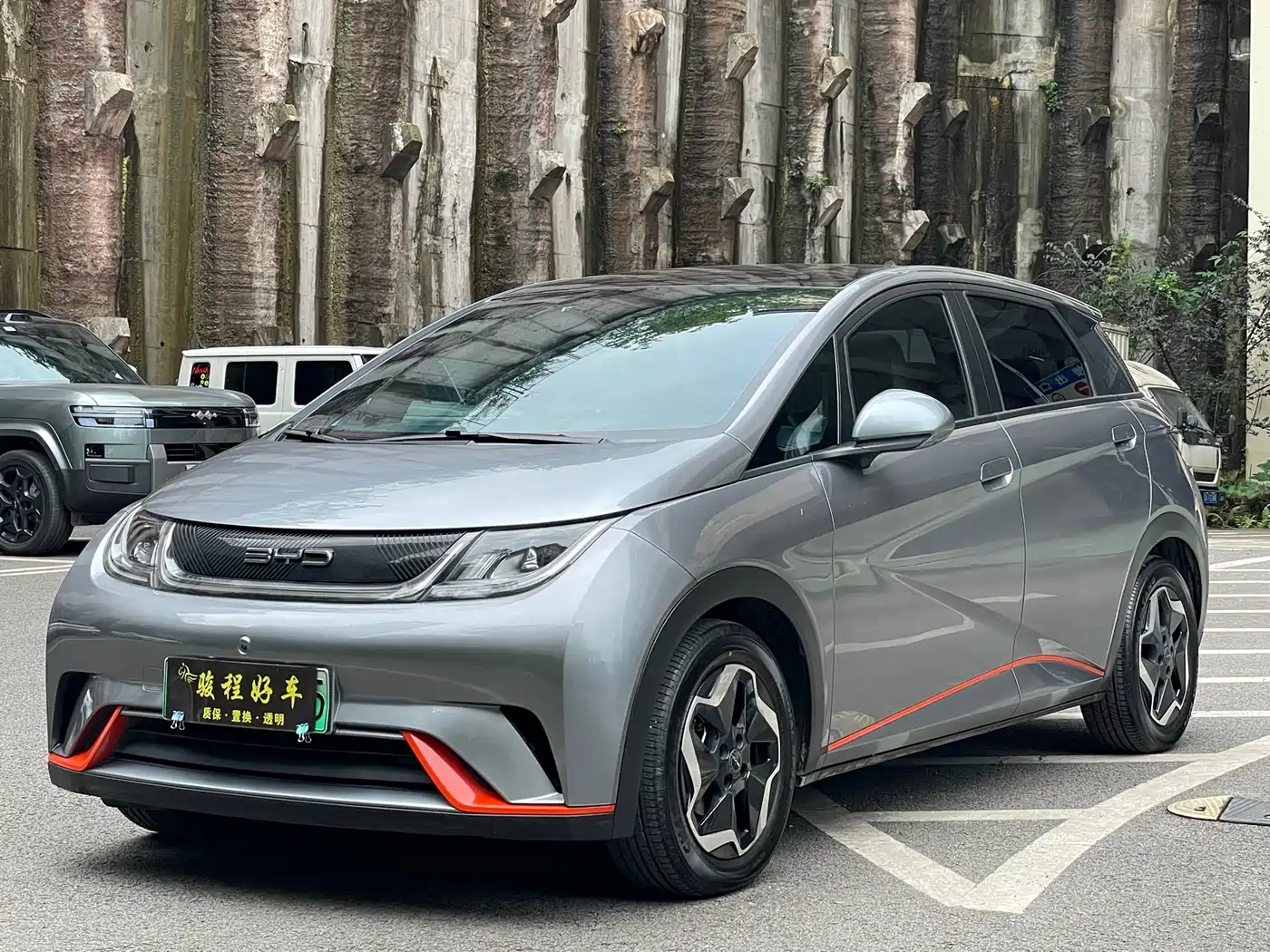 BYD Dolphin 2021 Model 405km Fashion Edition