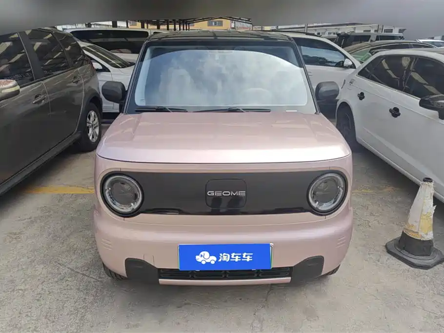 Geely Galaxy Panda 2024 Panda mini 200km Endurance Bear фото 2