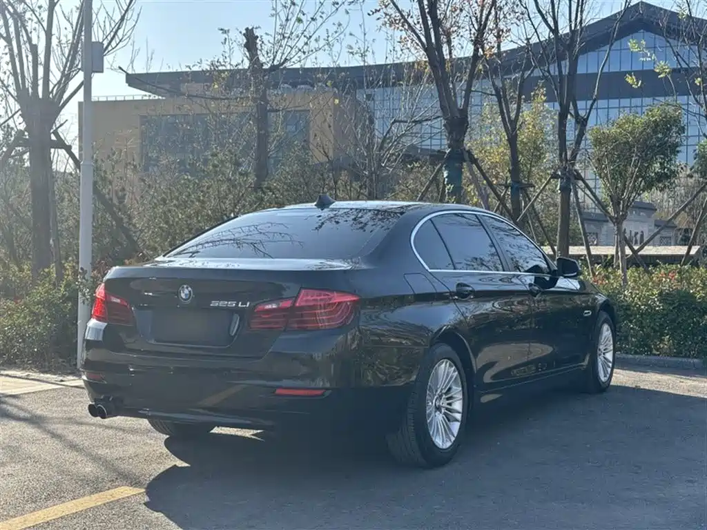BMW 5 Series 2014 525Li Leading фото 10