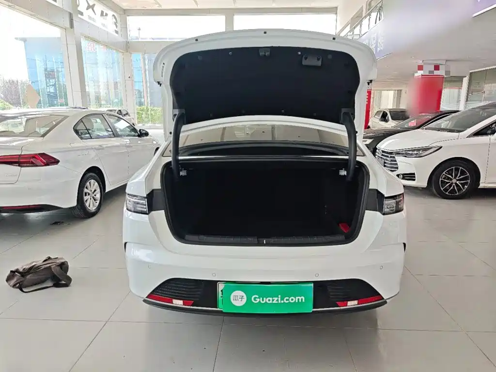 BYD Destroyer 05 2024 2024 Glory Edition DM-i 55KM Luxury