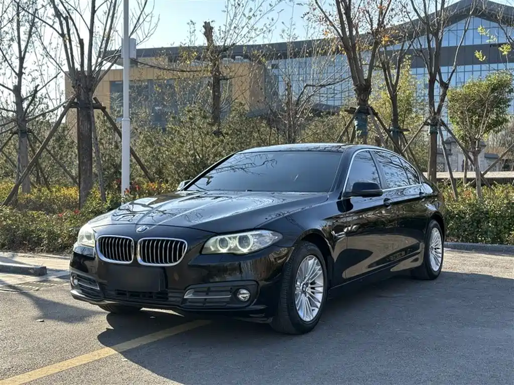 BMW 5 Series 2014 525Li Leading фото 2