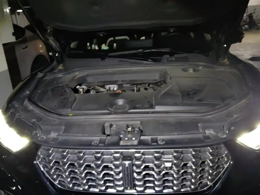 WEI PAI WEI BRAND VV5