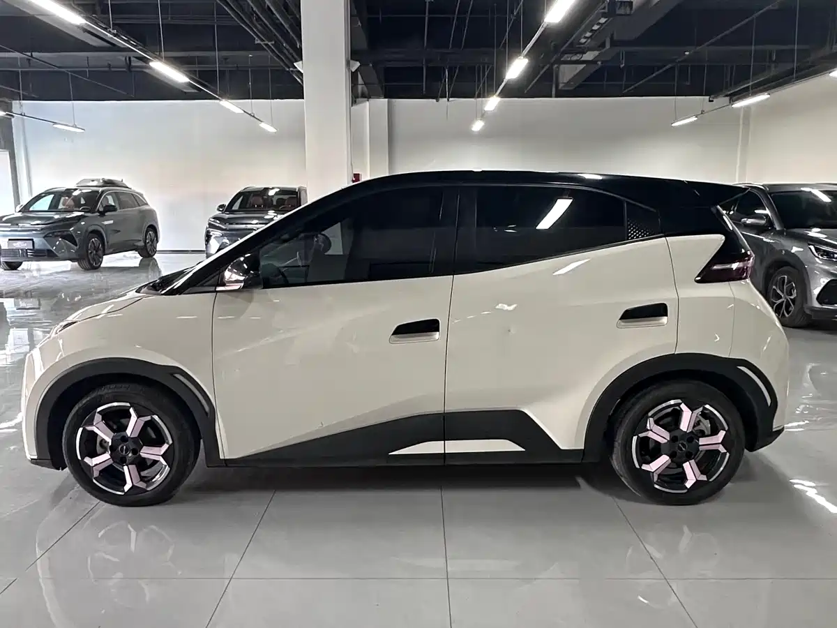 BYD Seagull 2023 Vitality Edition фото 2