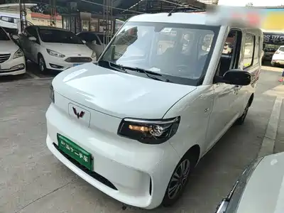 Wuling Sunshine