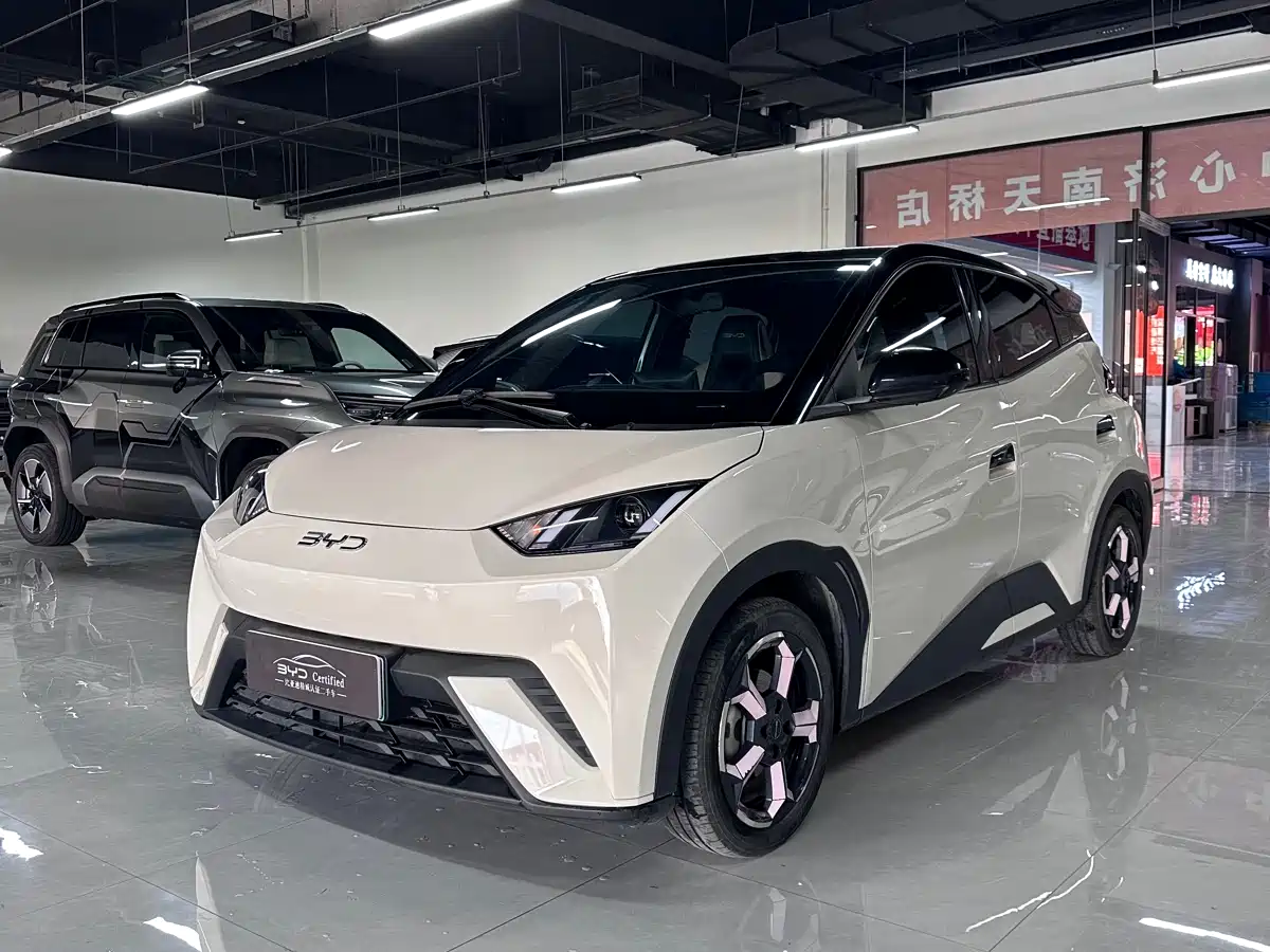 BYD Seagull 2023 Vitality Edition