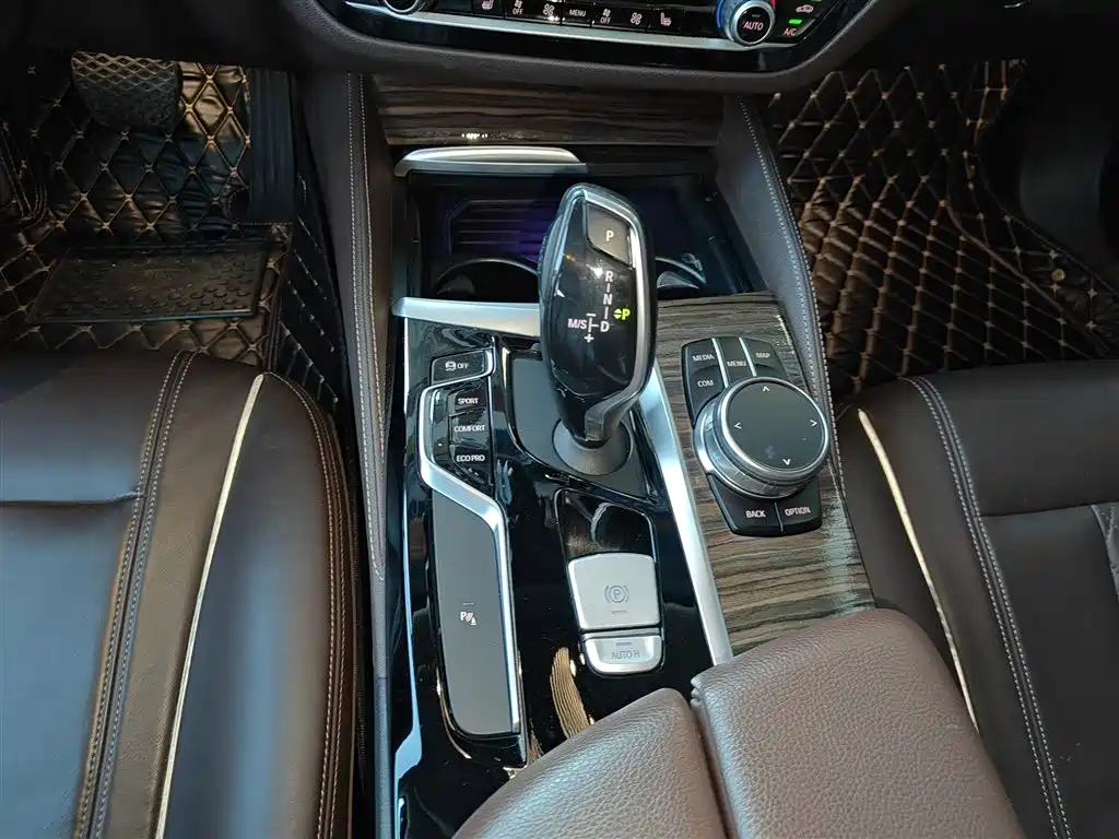 BMW 5 Series 2018 530Li Leading Luxury Package фото 6